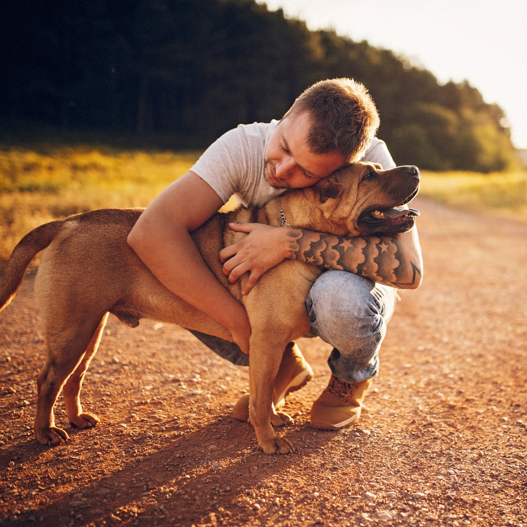 <em><strong>David S.</strong></em>